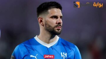 ألكسندر ميتروفيتش