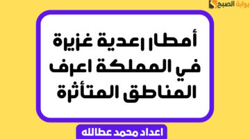أمطار رعدية غزيرة في المملكة