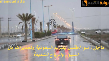 إضافة عنوان فرعي