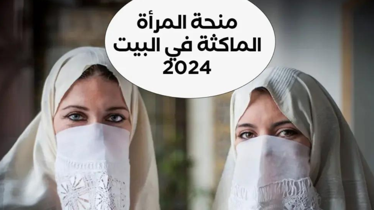 منحة 800 دينار للسيدات شروط منحة المرأة الماكثة في البيت 2024