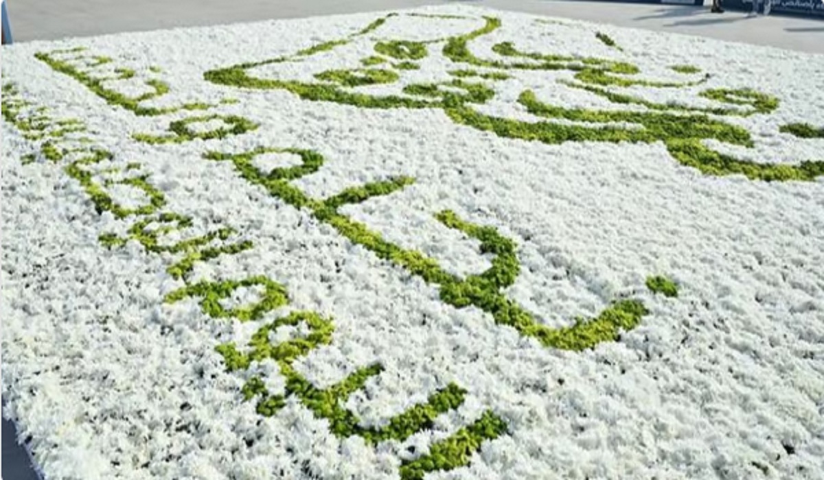 احتفالاً باليوم الوطني السعودي الـ94.. أكبر فسيفساء بالورود الطبيعية في محافظة جدة.. صور 5 احتفالاً باليوم الوطني السعودي الـ94.. أكبر فسيفساء بالورود الطبيعية في محافظة جدة.. صور