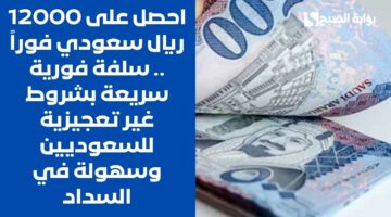 احصل على 12000 ريال سعودي فوراً . سلفة فورية سريعة بشروط غير تعجيزية للسعوديين وسهولة في السداد