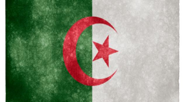 اخبار الجزائر