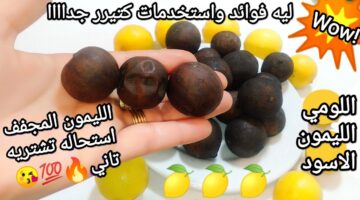 استخدامات الليمون الناشف في البيت