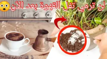 استخدامات تفل القهوة