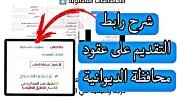 استمارة تعيينات محافظة الديوانية العراقية 2024 1