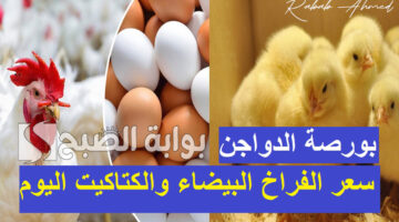 اسعار الدواجن اليوم السبت