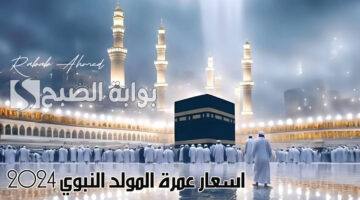 اسعار عمرة المولد النبوي 2024