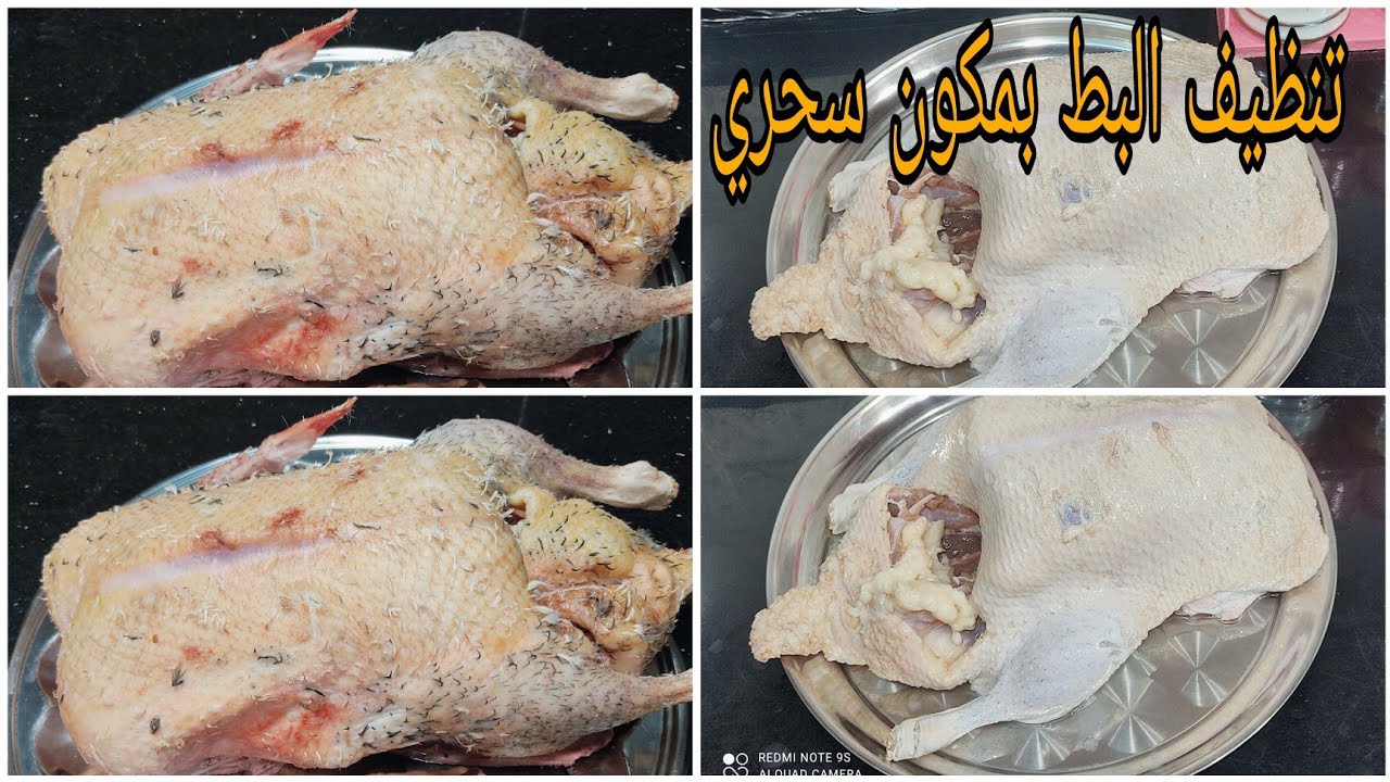 افكار عبقرية لتنظيف البط من الريش الصغير والزفارة بسهوله وبدون تعب ولا مجهود هيبقي زي القشطة
