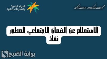 الاستعلام عن الضمان الاجتماعي المطور نفاذ