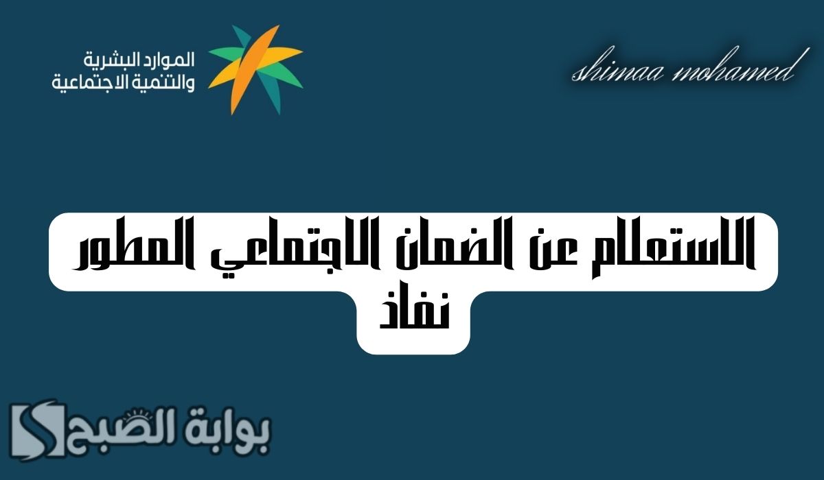 خطوة بخطوة… طريقة الاستعلام عن الضمان المطور نفاذ 1446 عبر hrsd.gov.sa