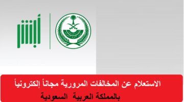 الاستعلام عن المخالفات المرورية مجانا إلكترونيا في المملكة 1446