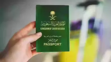 الاستعلام عن تأشيرة السعودية برقم الجواز 2024 1
