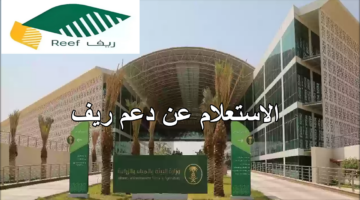 الاستعلام عن دعم ريف