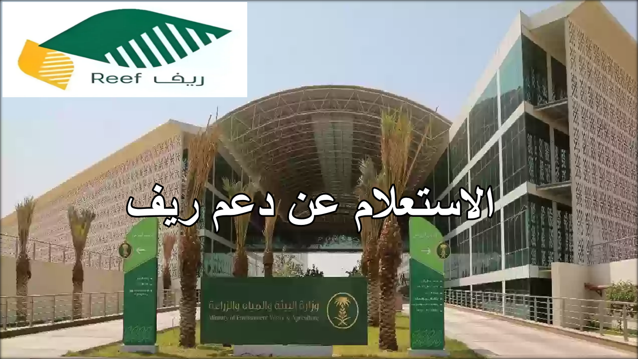 ما هي خطوات الاستعلام عن دعم ريف لاستحقاق شهر سبتمبر 2024؟ … وزارة البيئة والمياه تجيب 2 ما هي خطوات الاستعلام عن دعم ريف لاستحقاق شهر سبتمبر 2024؟ … وزارة البيئة والمياه تجيب
