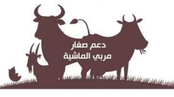 الاستعلام عن دعم صغار مربي المواشي 1446