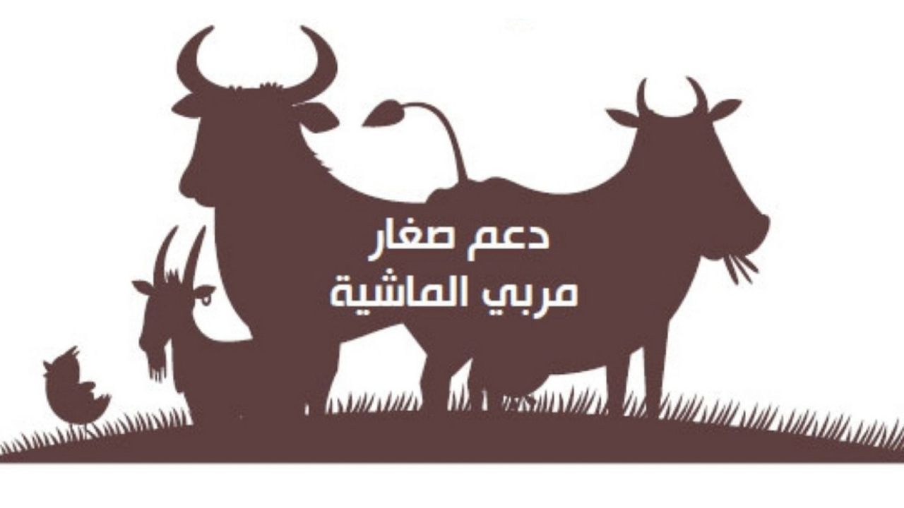 وزارة البيئة توضح خطوات الاستعلام عن دعم صغار مربي المواشي 1446 وشروط البرنامج