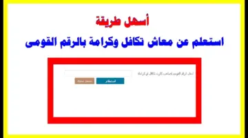 الاستعلام عن معاش تكافل وكرامة بالرقم القومي