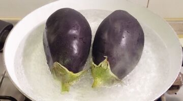 الباذنجان في المياه المغلية