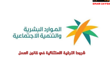 الترقية الاستثنائية في قانون العمل