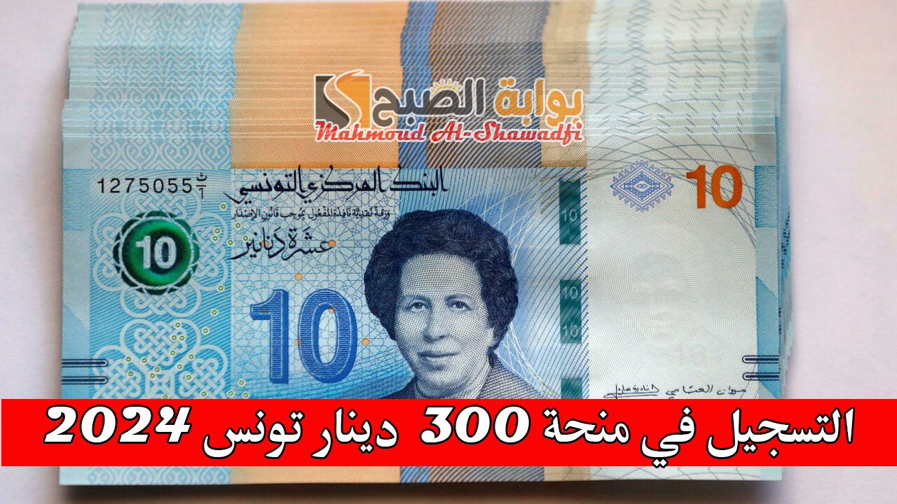 رابط مباشر.. التسجيل في منحة 300 دينار تونس 2024 وأهم الشروط المطلوبة