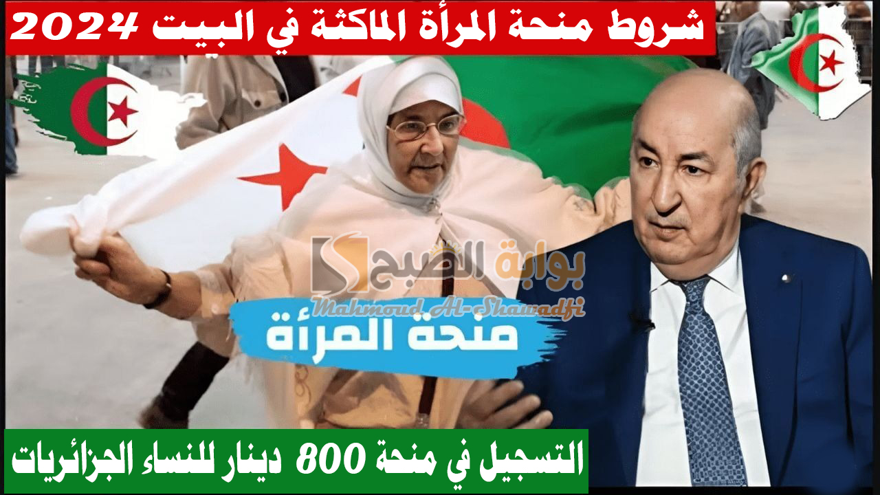 الوكالة الوطنية للتشغيل.. التسجيل في “منحة المرأة الماكثة في البيت 2024” وشروط الحصول على 800 دينار