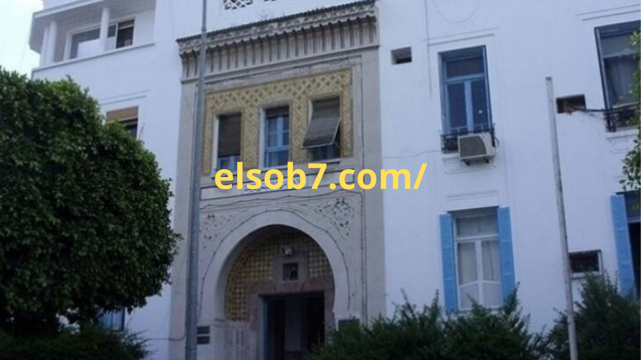 “اسماء المقبولين” اشهار نتائج القسم التحضيري 2024-2025 فضاء الاولياء awlya.education.gov.dz مؤسسات التمدرس