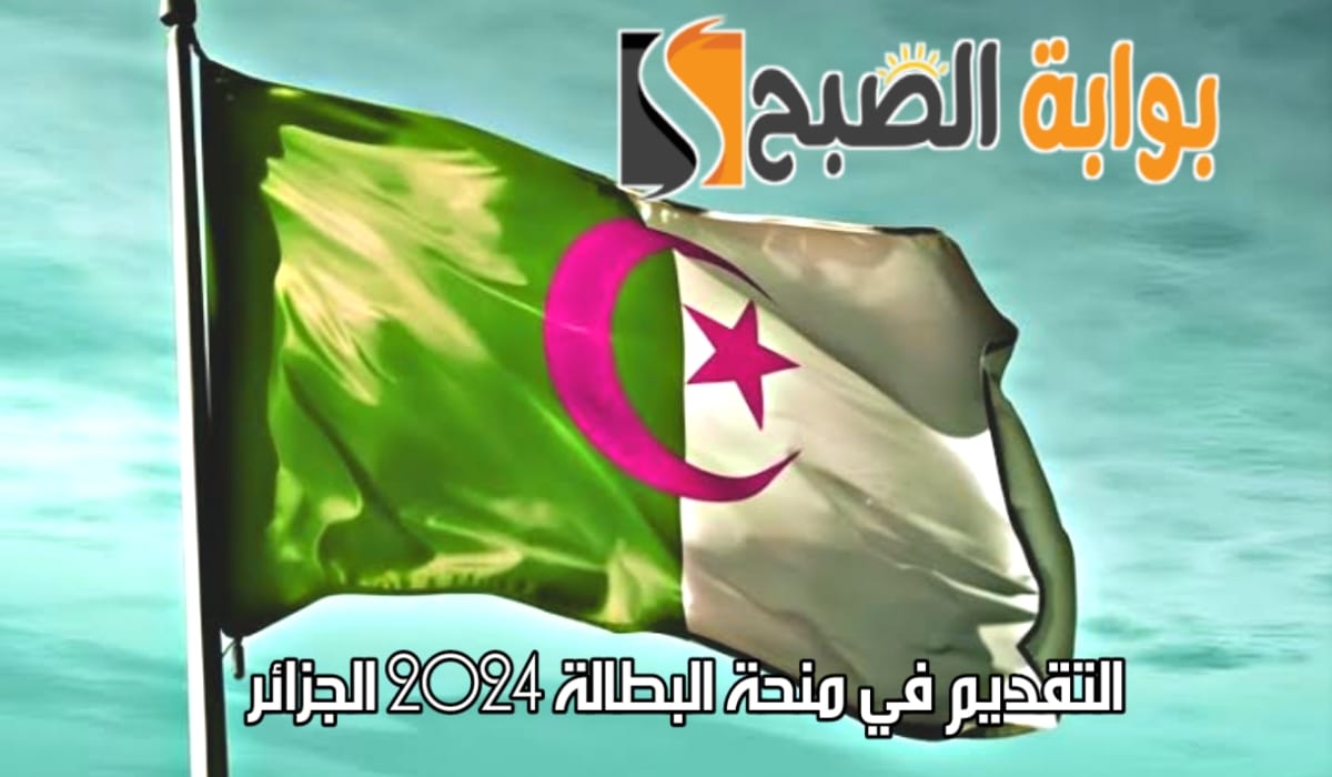 طريقة التقديم في منحة البطالة 2024 الجزائر عبر موقع الوكالة الوطنية للتشغيل anem.dz