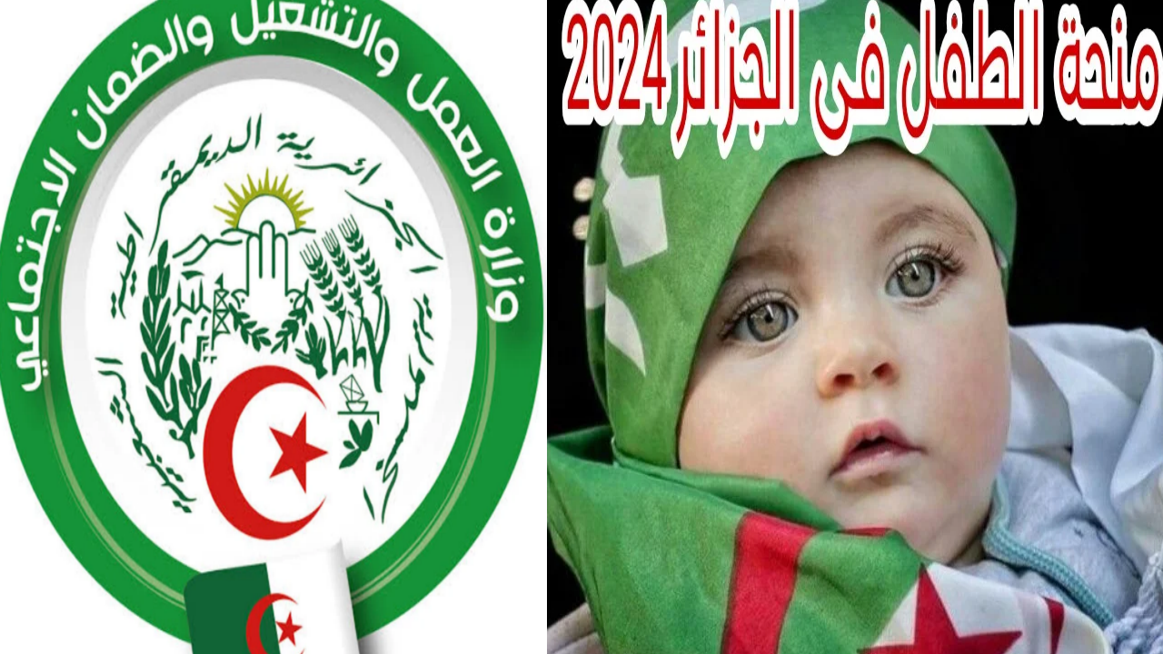 وزارة العمل والتشغيل توضح كيفية التقديم في منحة الطفل بالجزائر 2024 والشروط المطلوبة