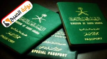 التقديم للحصول على الجنسية السعودية 2024