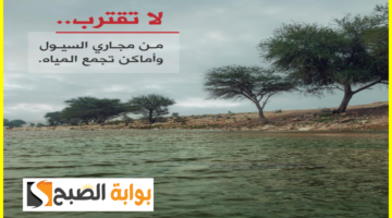 الدفاع المدني السعودي