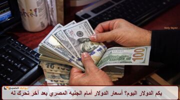 الدولار 2 Copy