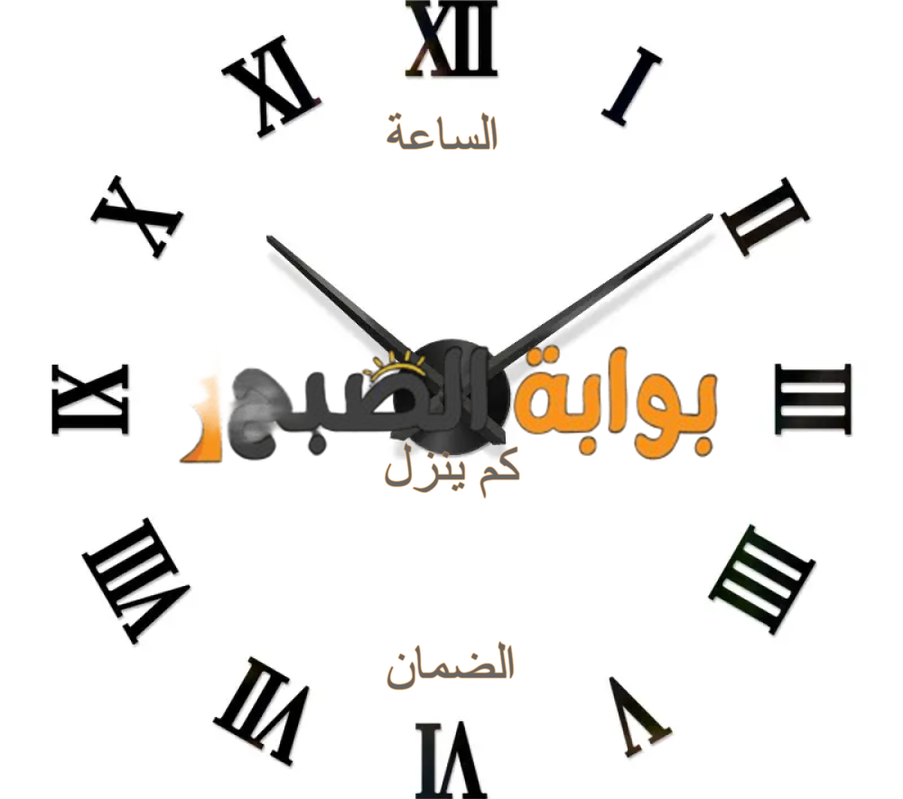 الساعة كم ينزل الضمان المطور.. ولماذا لم يتم الإيداع إلى الآن؟ الموارد البشرية توضح