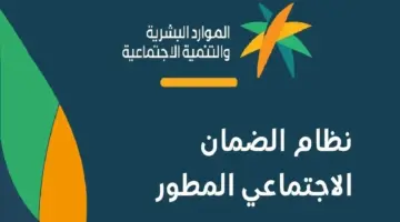 الضمان المطور 3