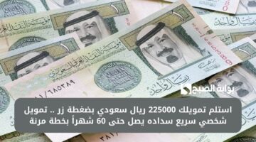 الكترونياً احصل على 40.000 ريال سعودي في حسابك . قرض شخصي سريع إذا كنت موظف لسداد ديونك 1 1