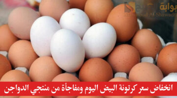 انخفاض سعر كرتونة البيض اليوم ومفاجأة من منتجي الدواجن