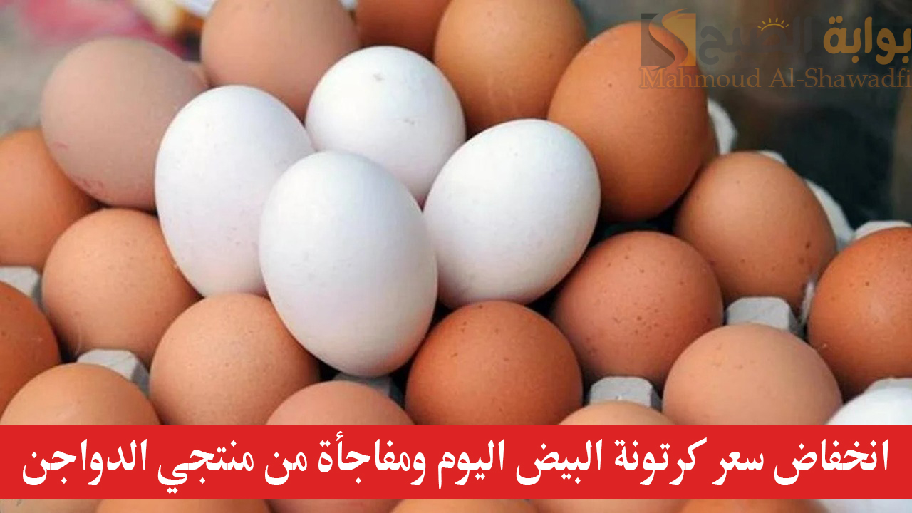 ارتفاع مفاجئ.. سعر كرتونة البيض اليوم ومفاجأة من منتجي الدواجن بشأن سعرها الحقيقي 5 ارتفاع مفاجئ.. سعر كرتونة البيض اليوم ومفاجأة من منتجي الدواجن بشأن سعرها الحقيقي