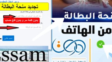 تجديد منحة البطالة في الجزائر 2024