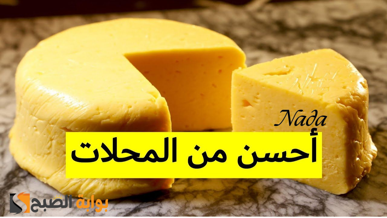 طريقة عمل الجبنة الرومي أو التركي أفضل من المحلات