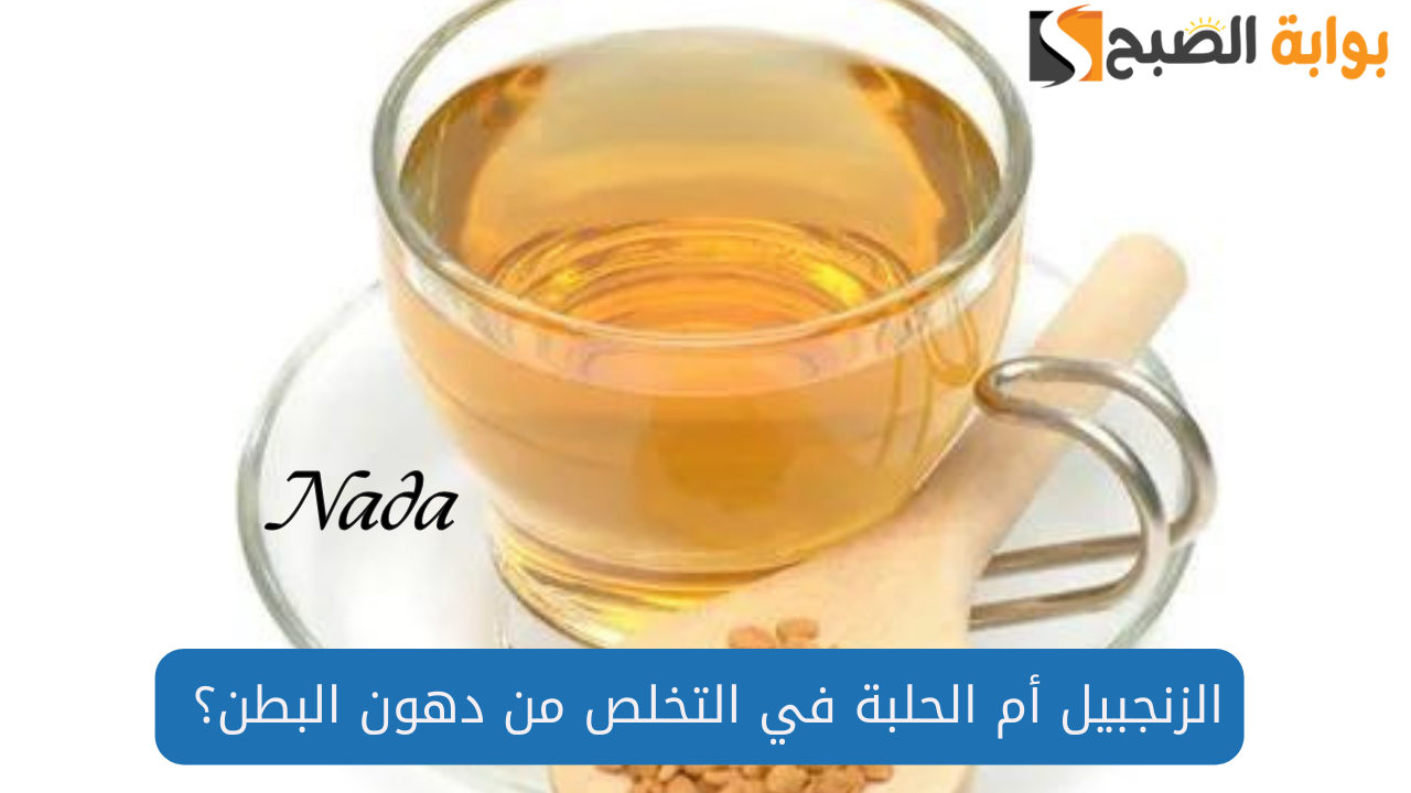 الزنجبيل أم الحلبة الفعالة في حرق دهون البطن العنيدة .. تعرفي على الفرق الآن