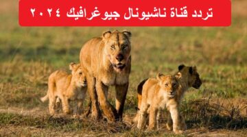 تردد قناة ناشيونال جيوغرافيك 2024 على جميع الأقمار الصناعية