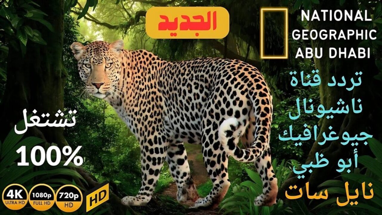 “عالم التشويق والمغامرة” تحميل  تردد قناة ناشيونال جيوغرافيك نايل سات 2024 بجودة مدهشة