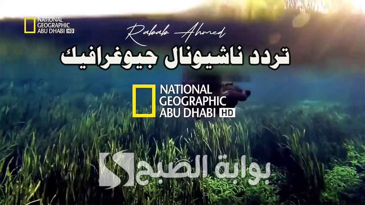 لعشاق الطبيعة والوثائقيات.. تردد ناشيونال جيوغرافيك الجديد 2024 على نايل وعربسات 5 لعشاق الطبيعة والوثائقيات.. تردد ناشيونال جيوغرافيك الجديد 2024 على نايل وعربسات
