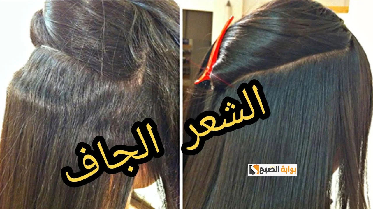 لو بتعاني من تقصف وهيشان..  وصفات طبيعية للشعر الجاف تعالج التلف وترطب بعمق