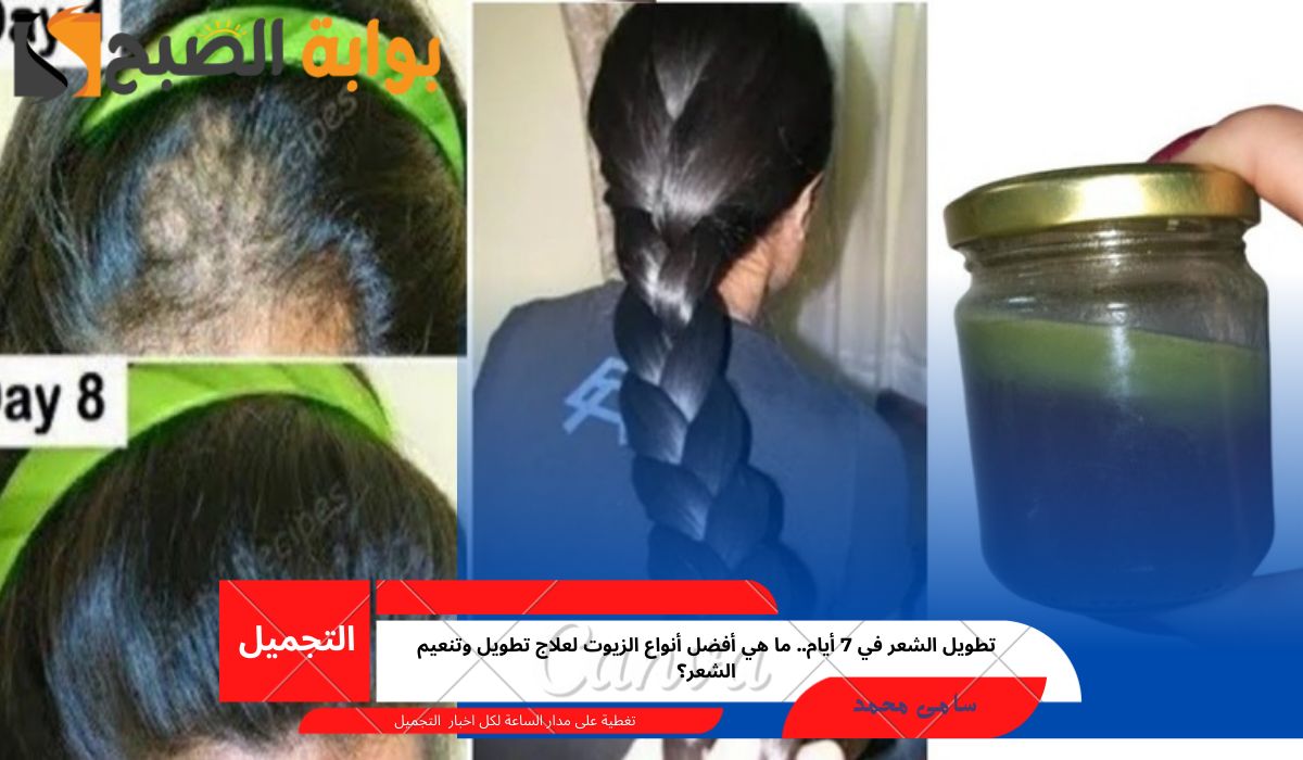 تطويل الشعر في 7 أيام.. ما هي أفضل أنواع الزيوت لعلاج تطويل وتنعيم الشعر؟