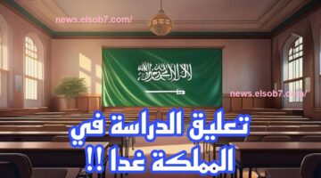 تعليق الدراسة غدا
