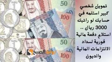 تمويل شخصي كبير استلمه في حسابك لو راتبك 3000 ريال . استلام دفعة مالية فورية لسداد الالتزامات المالية والديون