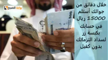 تمويل فينزي 2