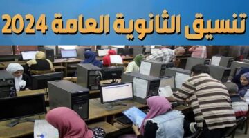 تنسيق 3