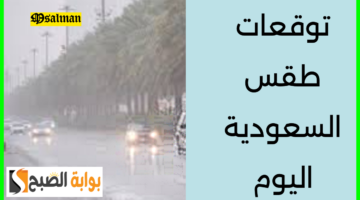 توقعات طقس السعودية اليوم 4